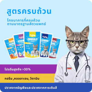 (ยกโหล 12 ซอง) MR.VET อาหารแมวเปียก ขนาด 70 กรัม สำหรับแมวทุกวัย สูตรบำรุงเฉพาะ โปรตีนสูง