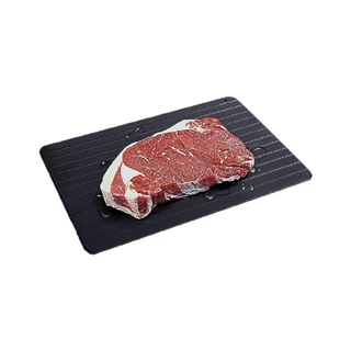 PRESTIGE ALUMINUM DEFROSTING TRAY ถาดละลายน้ำแข็งเนื้อ (50588-C)