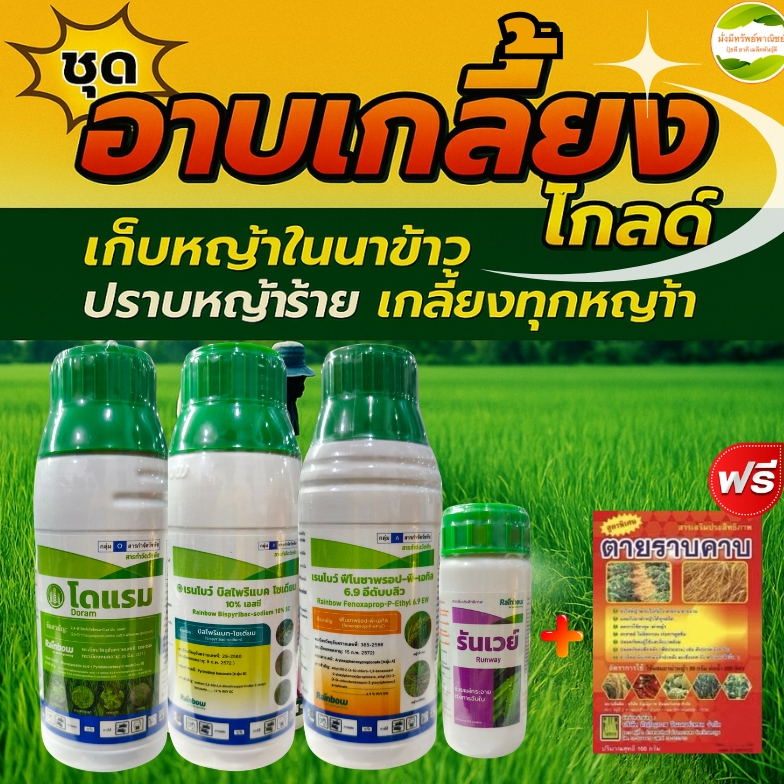 อาบเกลี้ยงโกลด์ ชุดเก็บหญ้าทุกชนิดในนาข้าว 8-10ไร่ สามารถกำจัดวัชพืชได้ทั้งใบแคบ ใบกว้าง เถาเลื้อย และกก
