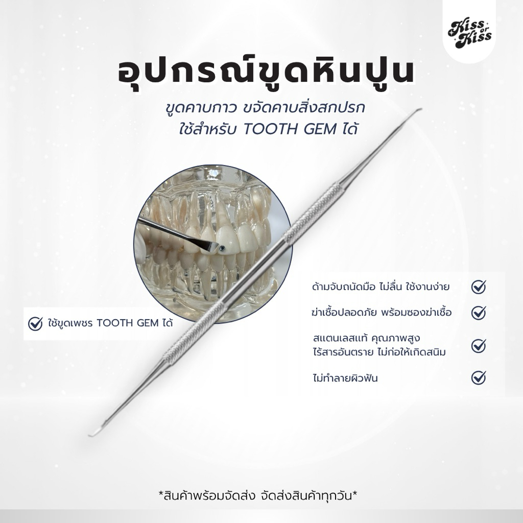 เครื่องมือทำความสะอาดฟัน ที่ขูดคาบกาว ขูดหินปูนโดยเฉพาะ แสตนเลสแท้