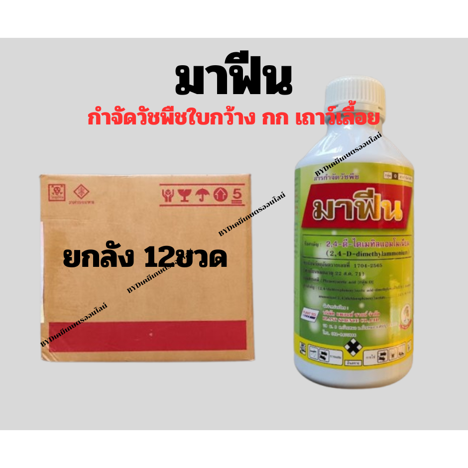 มาฟีน ขนาด1ลิตร (ยกลัง 12ขวด)  ยาฆ่าหญ้าใบกว้าง24D  24D-ไดเมทิลแอมโมเนียม สูตรน้ำตวงใช้ง่าย  กำจัดหญ