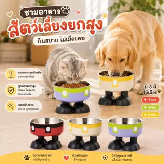 Boqi Factory ชามอาหารสัตว์เลี้ยง ชามอาหารแมว ทรงยกสูง น่ารักมินิมอล 2ชั้นถอดได้ CW382