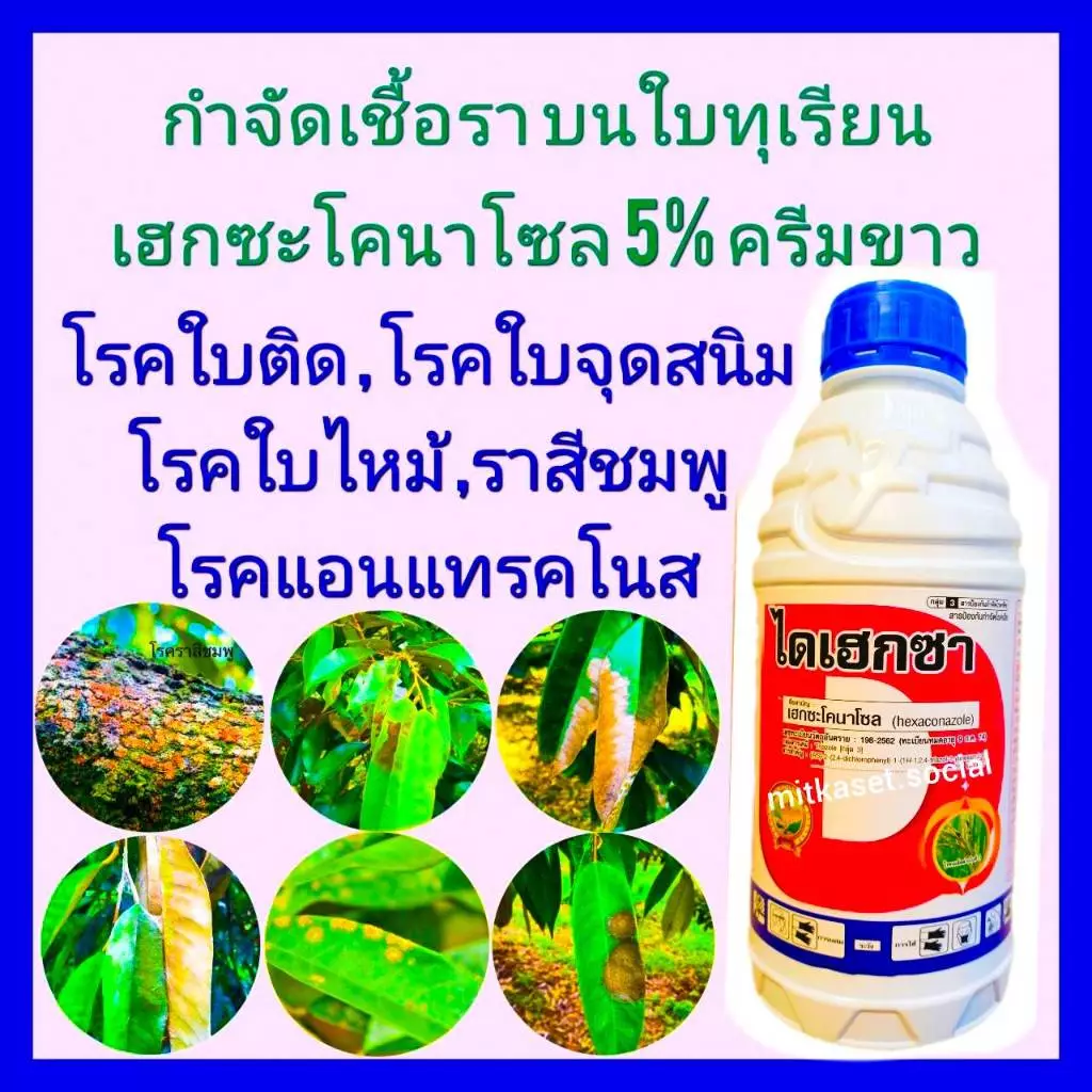 เฮกซะโคนาโซล 5% SC ไดเฮกซา1ลิตร กันเชื้อราทุเรียน กำจัดเชื้อราทุเรียน โรคพืช ดูดซึม โรคใบติด ใบไหม้ โรคราสนิม แอนแทรคโนส