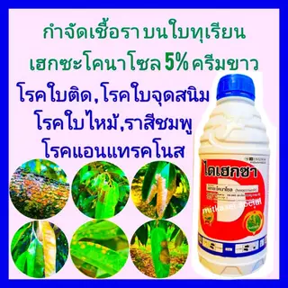 เฮกซะโคนาโซล 5% SC ไดเฮกซา1ลิตร กันเชื้อราทุเรียน กำจัดเชื้อราทุเรียน โรคพืช ดูดซึม โรคใบติด ใบไหม้ โรคราสนิม แอนแทรคโนส