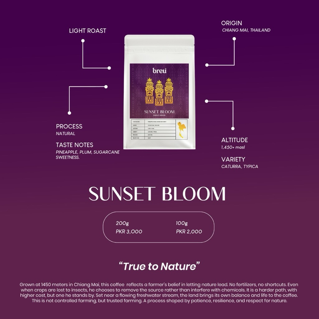 SUNSET BLOOM NATURAL PROCESS by Breu Specialty Coffee Roasters.
