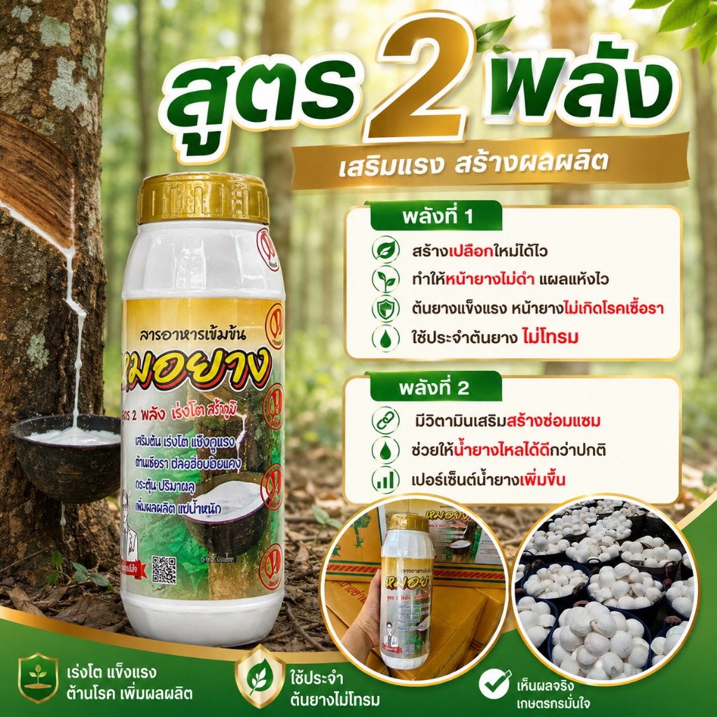 หมอยางทองเพิ่มน้ำยางสูตร2พลัง