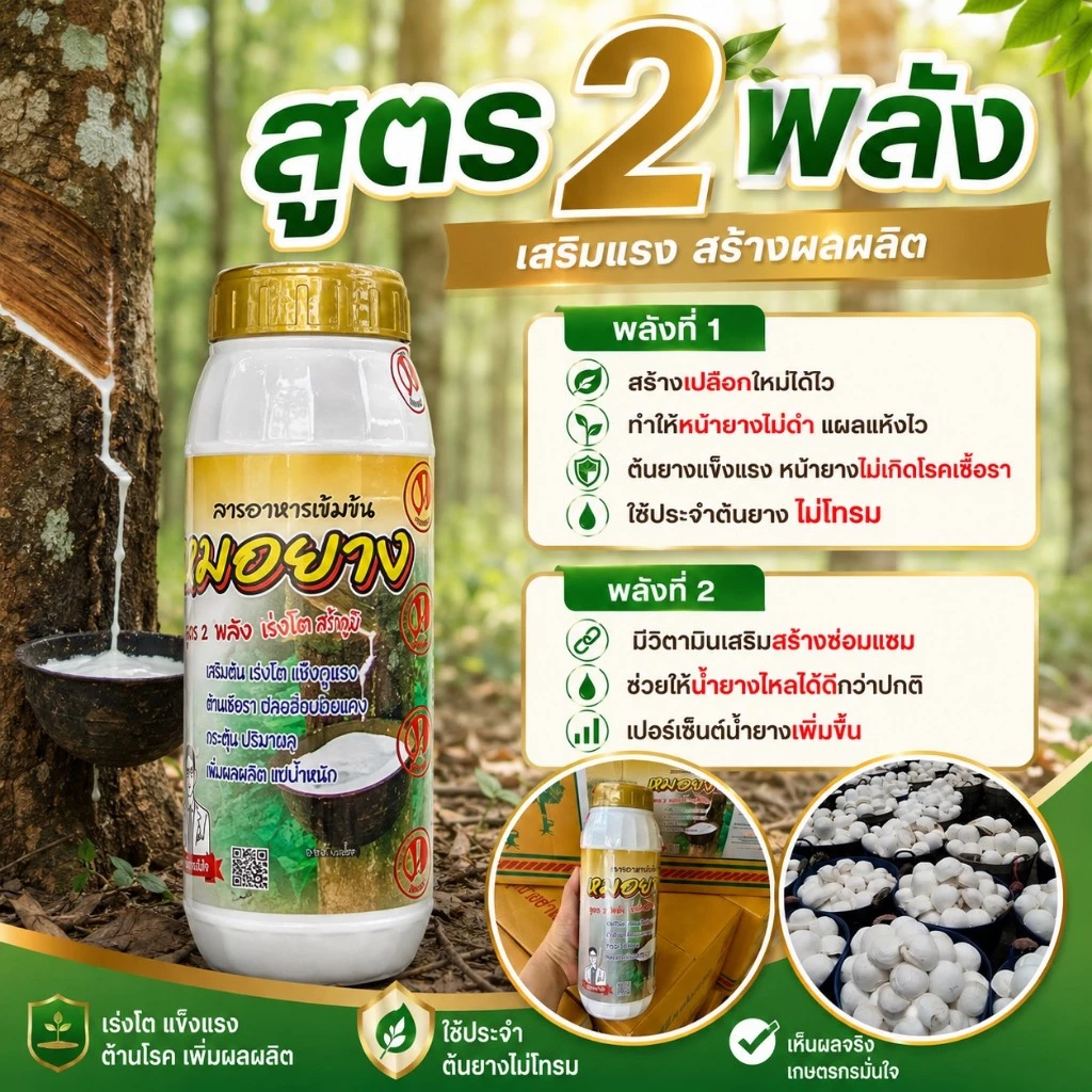 หมอยางทองเพิ่มน้ำยางสูตร2พลัง