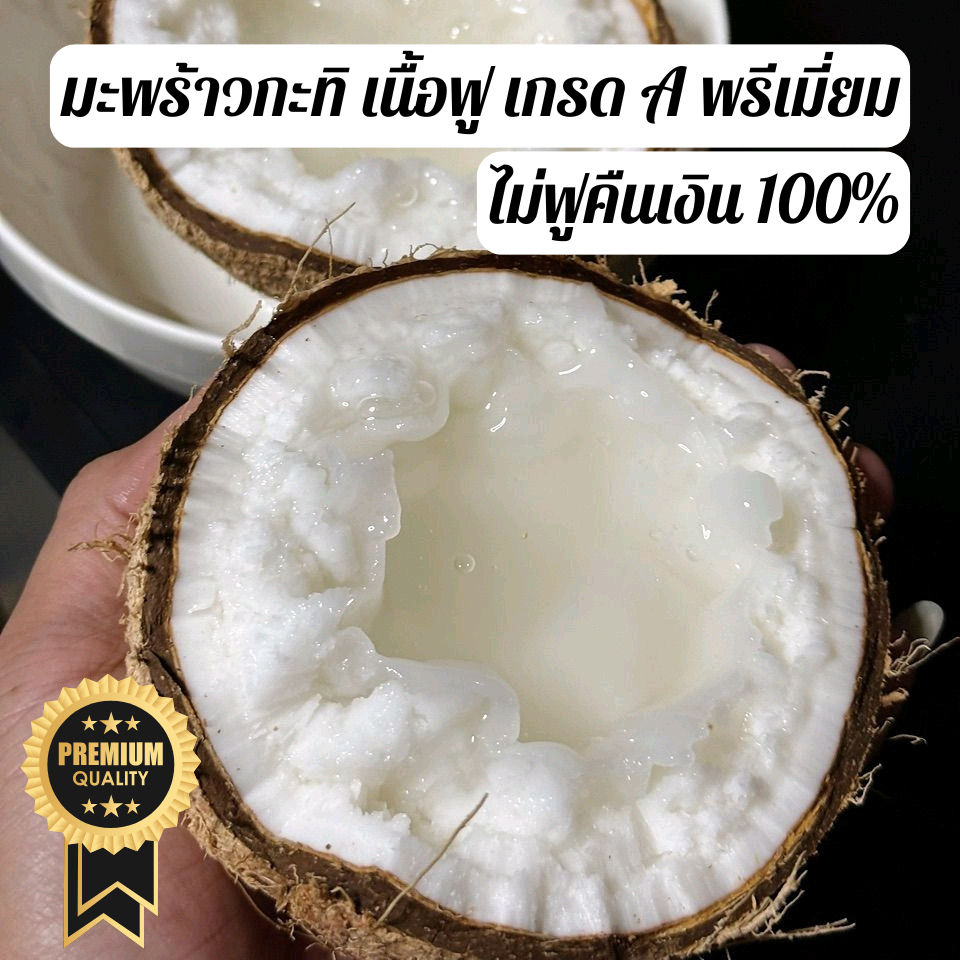 มะพร้าวกะทิเนื้อฟู AAA [พรีเมี่ยม] เนื้อไม่ฟู คืนเงิน 100% ไม่ต้องคืนของ