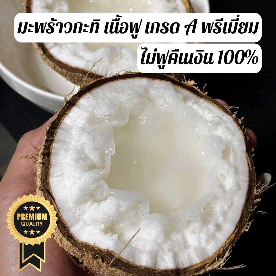 มะพร้าวกะทิเนื้อฟู ข้น AAA [พรีเมี่ยม] เนื้อไม่ฟู คืนเงิน 100% ไม่ต้องคืนของ