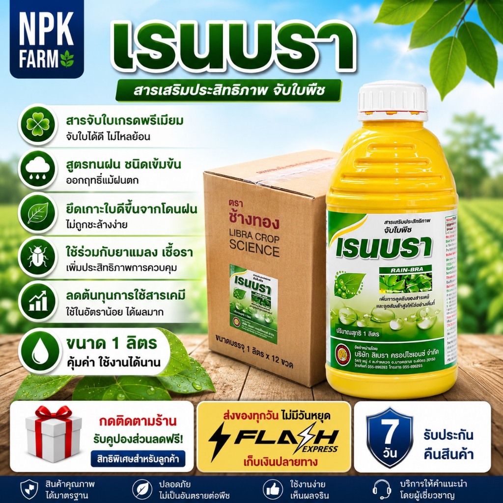 ยกลัง เรนบรา ขนาด 1 ลิตร 12 ขวด สารจับใบ จับใบ ชนิดเข้มข้น สูตรทนฝน สารเพิ่มประสิทธิภาพการดูดซึม