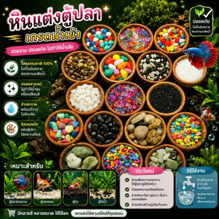 รวมหิน​ แต่งตู้ปลา​ เกรดนำเข้าขึ้นไฟสีสวย