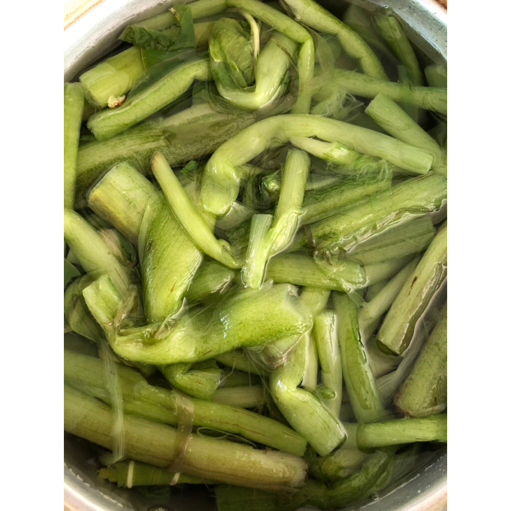 บอนต้ม บอนพร้อมแกง (นางหวาน)