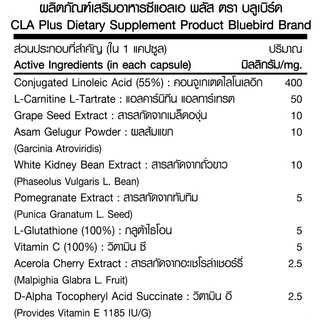ซีแอลเอ CLA Conjugated Linoleic Acid Plus L-carnitine ตรา บลูเบิร์ด 60 เม็ด