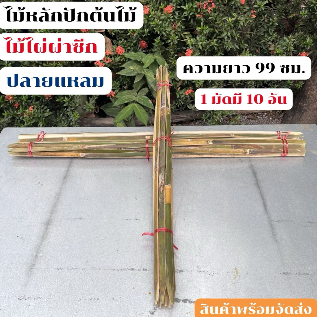 ไม้ไผ่ผ่าชีก ไม้หลักปักต้นไม้ ไม้ยึดต้นไม้ ยาว 99 เซนติเมตร มัดละ 10 อัน สินค้าพร้อมจัดส่ง
