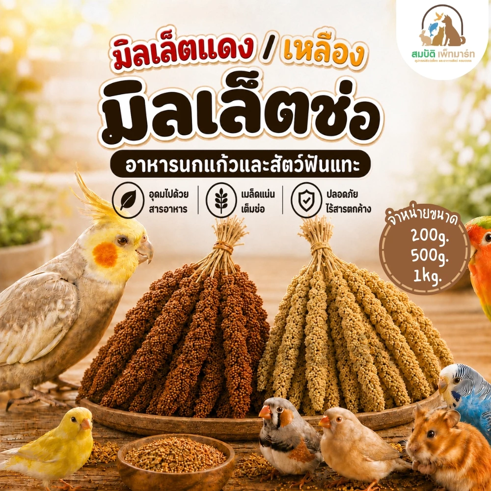 มิลเล็ตสเปรย์ (แบ่งขาย 200-500G.) อาหารนกแก้ว หนูแฮมสเตอร์ และสัตว์ฟันแทะ