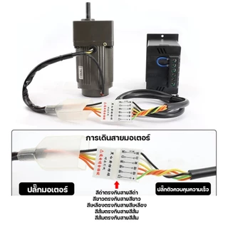MO48 มอเตอร์เกียร์ปรับความเร็วได้ Ac 220V 6W เกียร์แบบอะซิงโครนัสเฟสเดียวปรับความเร็วได้