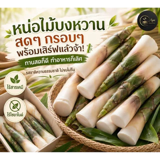 หน่อไม้บงหวานเพรชน้ำผึ้ง(ส่งใน1-2วัน)กินสดได้ ไม่มีไซยาไนด์ ไม่มียูริก เป็นเกาต์ทานได้ หวานกรอบจากธรรมชาติไม่ใช้ปุ๋ยเคมี