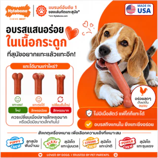 🇺🇸Made in USA🇺🇸 Nylabone Power Chew Original Bone ของเล่นกระดูกแทะขัดฟันสุนัข ทรงกระดูกสุดคลาสสิก