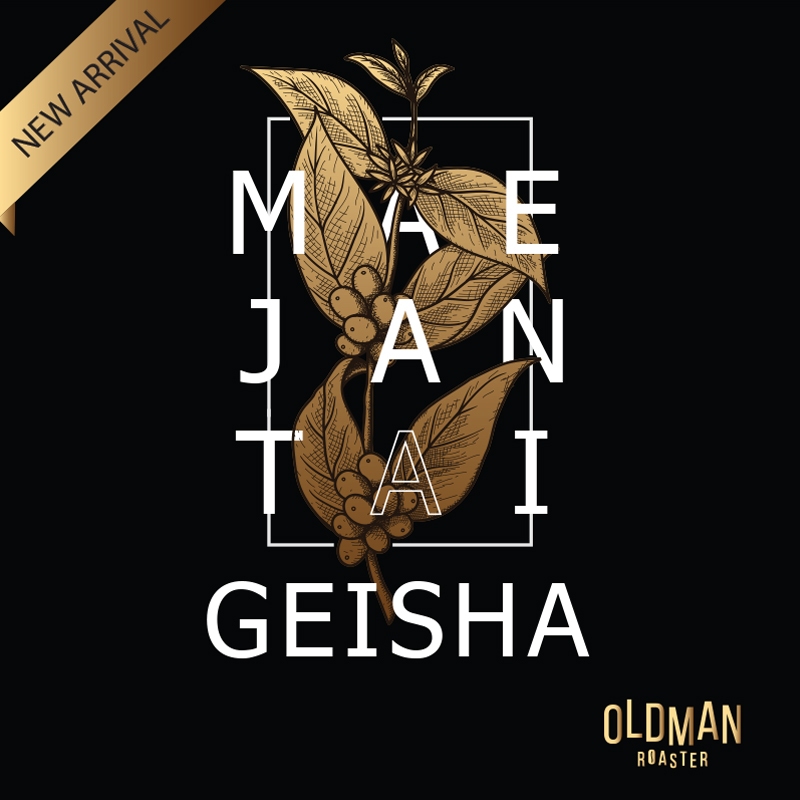 เมล็ดกาแฟ " เกอิชา แม่จันใต้ " MAE JAN TAI GEISHA  { 3 Process }  (คั่วอ่อน) by OLDMAN ROASTER