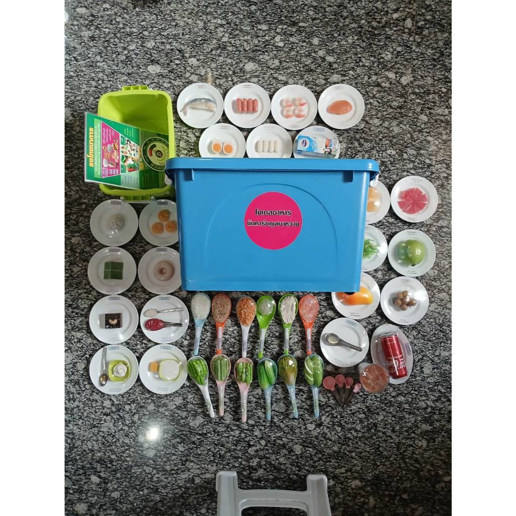 โมเดลอาหารนับคาร์บ 52 รายการ (ชุดใหญ่) อาหารปลอม ผัก ผลไม้ปลอม สำหรับโรคเรื้อรัง NCDs