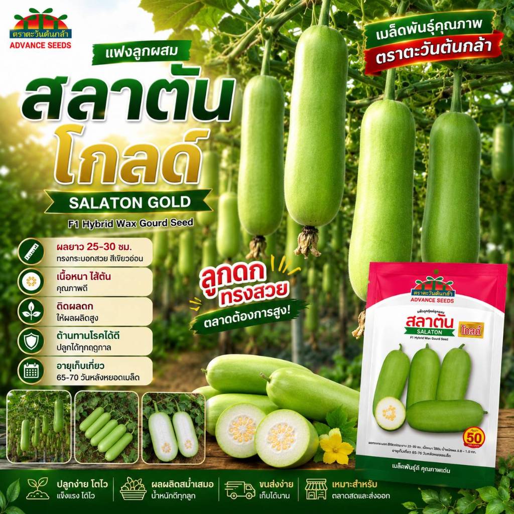 เมล็ดพันธุ์แฟงสลาตัน โกลด์ (ตราตะวันต้นกล้า) ขนาด 50 กรัม