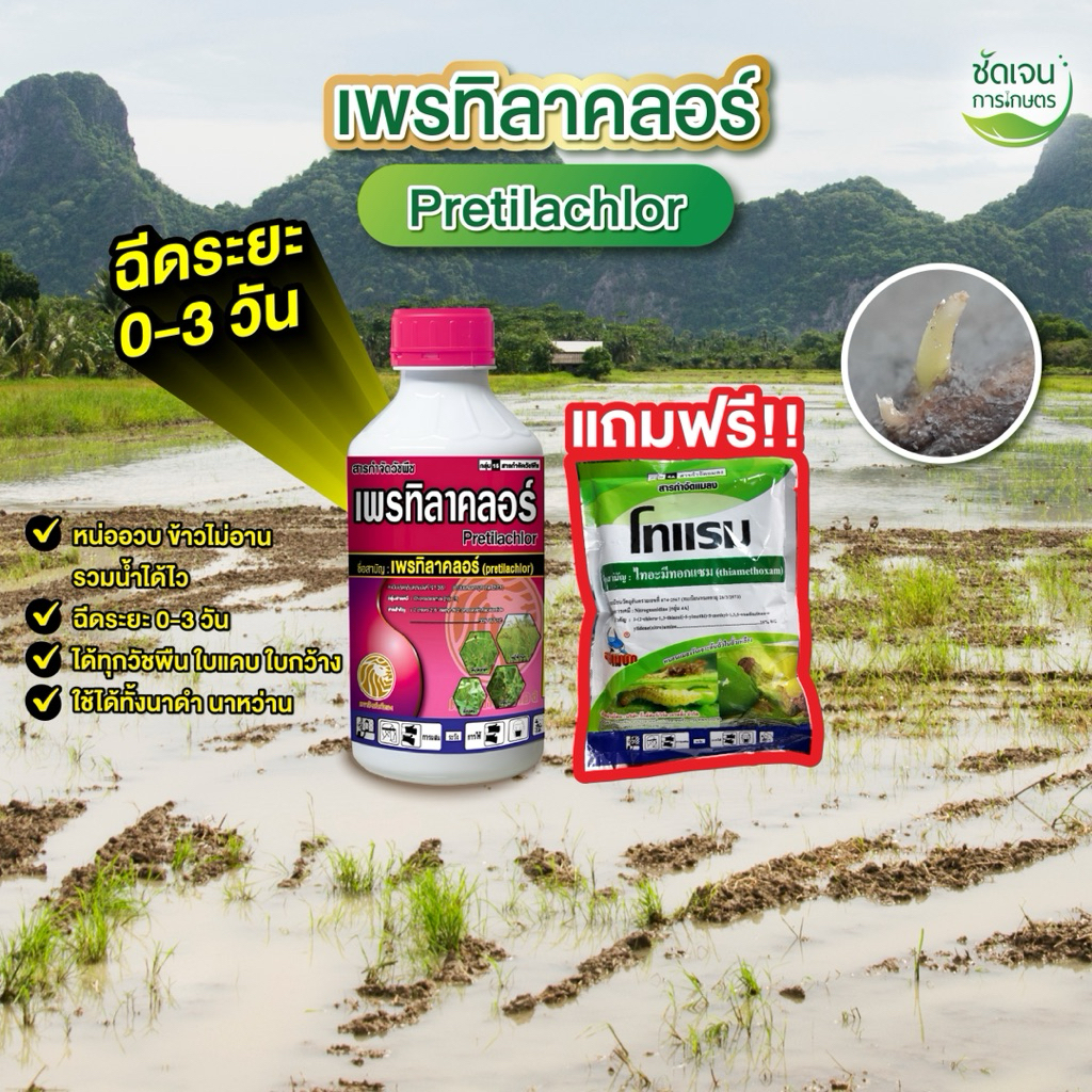 คุมเลน 2 พลัง+ (สูตร1)แถมฟรียาเพลี้ยไฟ เพรทิลาคลอร์+บิวทาคลอร์ อีดับบลิว รวบน้ำได้เร็ว 0-3วัน1 ชุดได้10 ไร่