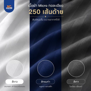 หมอนจัมโบ หมอนหนุนยักษ์ หมอนไซส์ใหญ่ หมอนหนุน รุ่น Combo ขนาด 25x35 นิ้ว ผ้า Microfiber ลายริ้ว นุ่มสบาย ไซส์ใหญ่ๆ