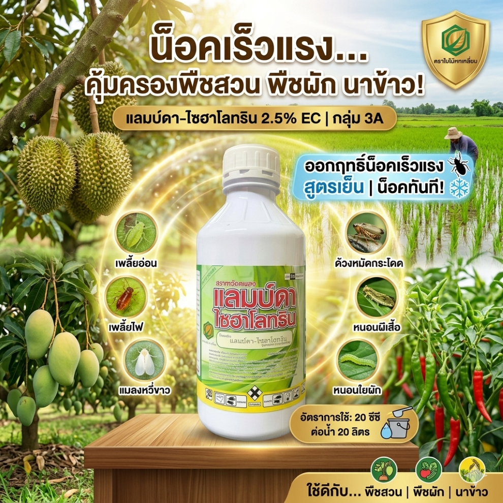 แลมด้าไซฮาโลทริน ใบไม้หกเหลี่ยม ขนาด 1 ลิตร ยาน็อคสูตรเย็น กำจัดเพลี้ย หนอน หนอนกอ หนอนห่อใบข้าว หนอนกระทู้ แม่บิน