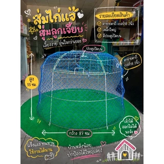 สุ่มไก่แจ้,สุ่มลูกเจี๊ยบกว้าง 87 ซม สูง 55 ซม