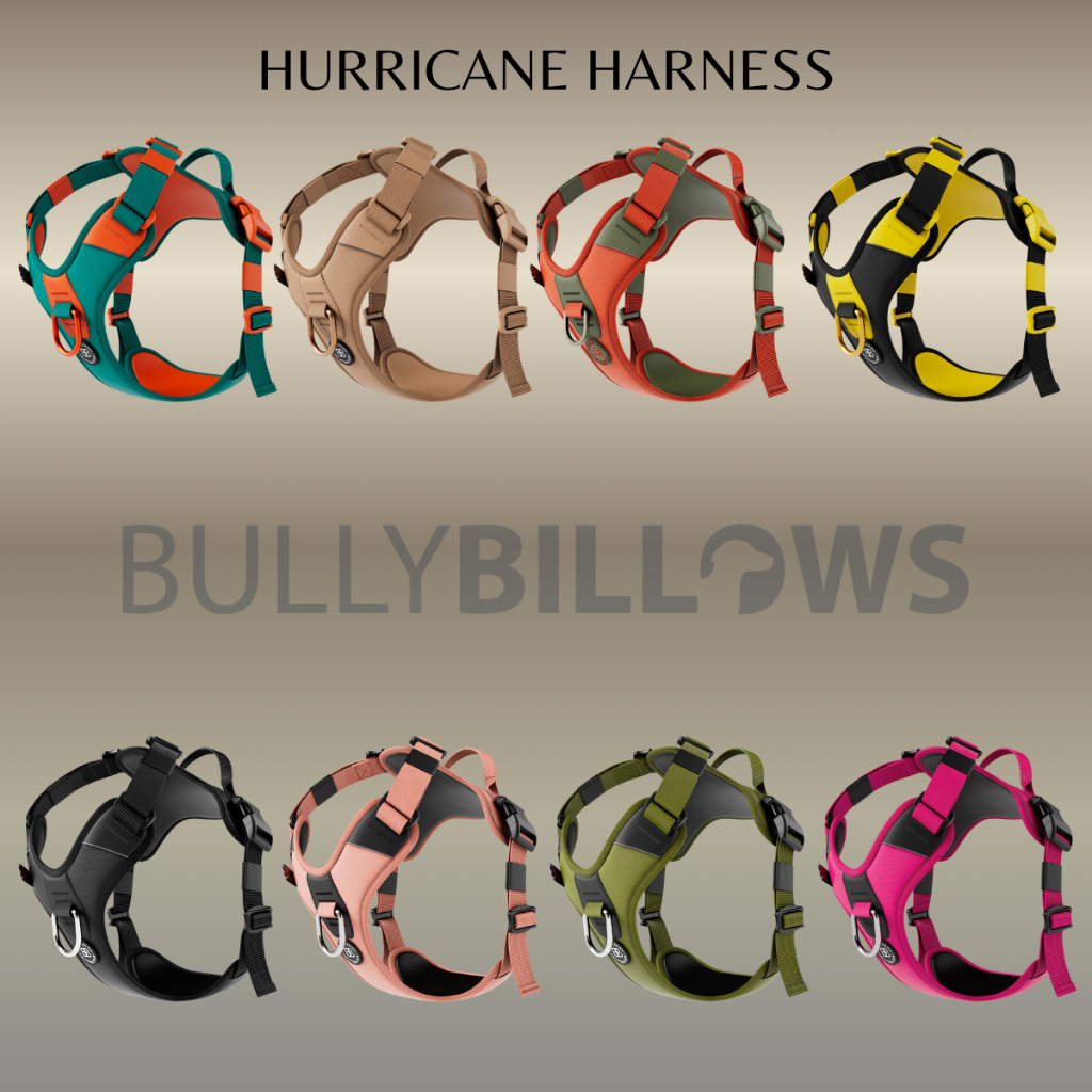 สายรัดอกสุนัข BullyBillows Hurricane Harness - Non Restrictive, With Handle, Adjustable & Reflective