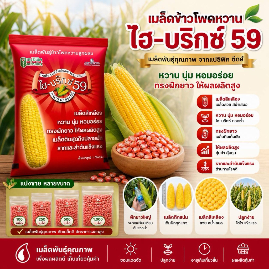 เมล็ดพันธุ์ ข้าวโพดหวานไฮบริกซ์ 50 ,100, 200 กรัม แบ่งขาย