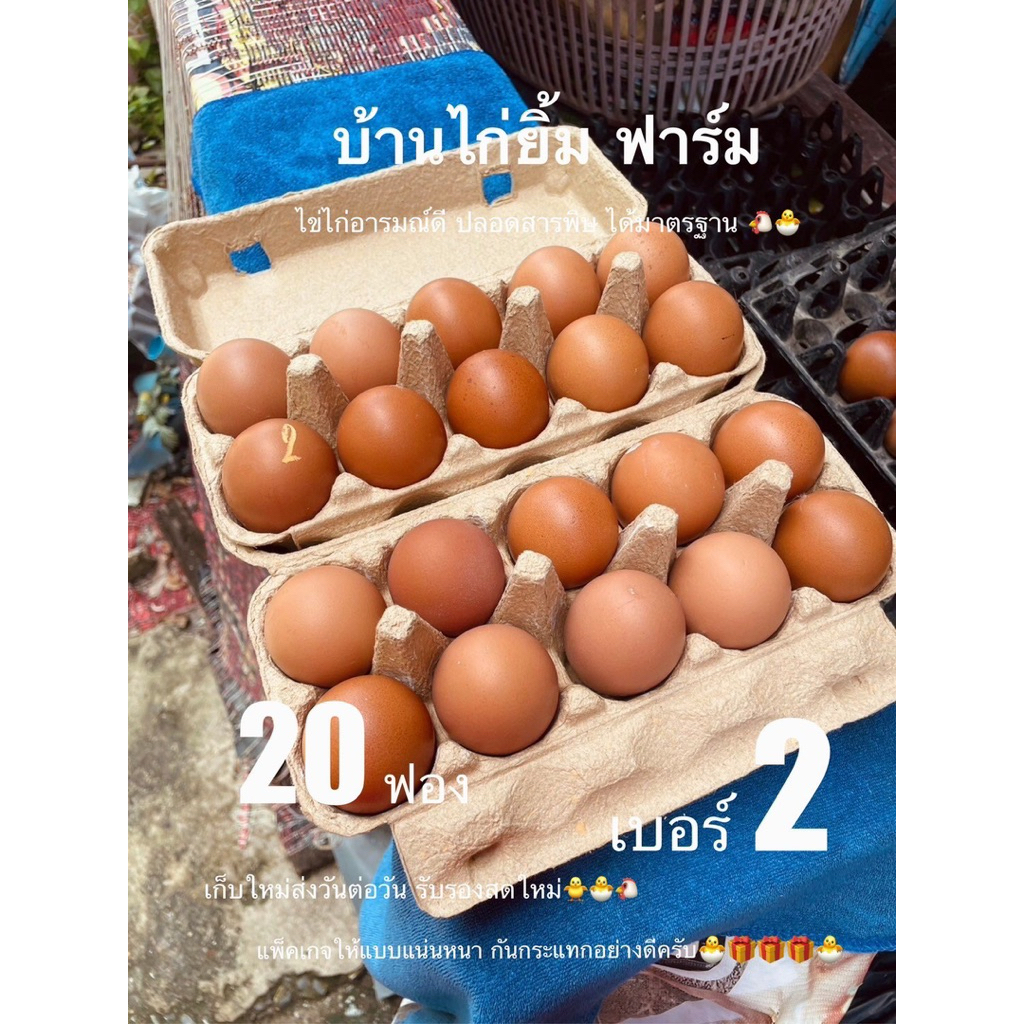 ไข่ไก่ เบอร์2 สดใหม่ ส่งฟรี 20ฟอง
