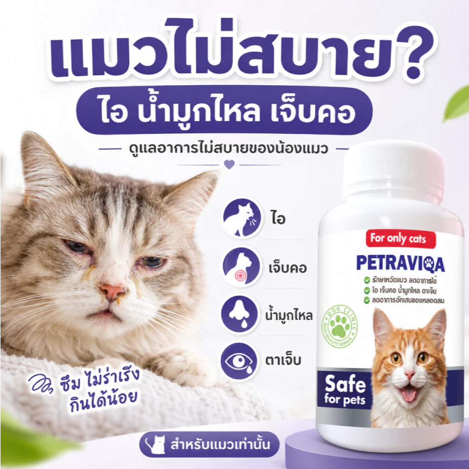 วิตามินเสริมภูมิ แมวไม่สบาย ไอ จาม มีน้ำมูก บำรุงการหายใจ กลับมาแข็งแรง