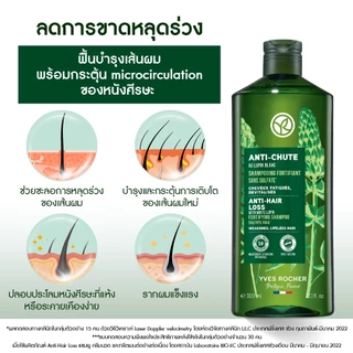 [สินค้าขายดี] [แพ็คคู่] อีฟโรเช Yves Rocher Anti-Hair Loss แชมพูและครีมนวดลดผมร่วง - ลดผมร่วง ผมบาง บำรุงเส้นผม