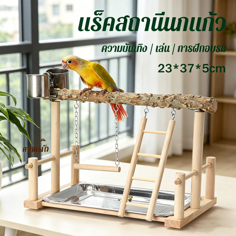 ของเล่นนก คอนนกยืนพร้อมถาดสแตนเลส เหมาะสำหรับนกแก้ว นกเลิฟเบิร์ด นกหงส์หยก จัดเลี้ยงสะดวก