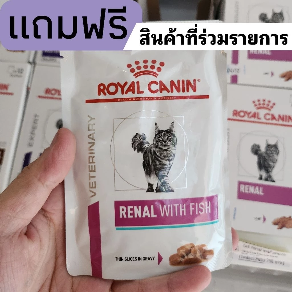แถมฟรี 1 ซอง royal canin renal with fish แบบเปียก แมวโรคไต 1 ซอง