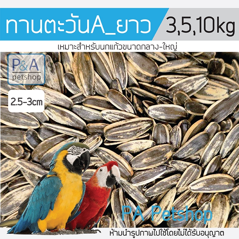 [แบ่งขาย3,5,10KG] ทานตะวัน A_เม็ดใหญ่ รุ่นยาว / อาหารนกแก้ว และสัตว์ฟันแทะ.
