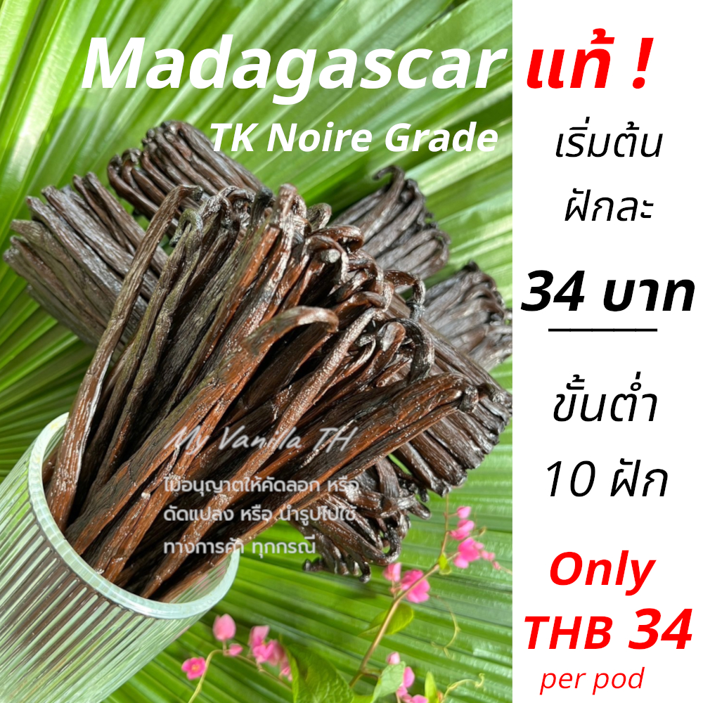 <<มาใหม่ >> แบบชุด 10 ฝัก  ((ส่งตรงจากมาดากัสการ์)) // ฝักวานิลลา TK Noire เริ่มต้น ตกฝักละ 34 บาท  12-15 cm**