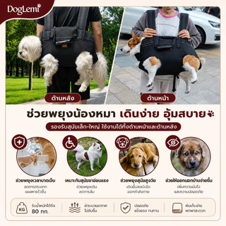 【Doglemi】สายรัดพยุงเดินสุนัข เสื้อกั๊กช่วยเดินสุนัขสูงอายุ สำหรับสุนัขบาดเจ็บข้อสะโพกขาหลัง