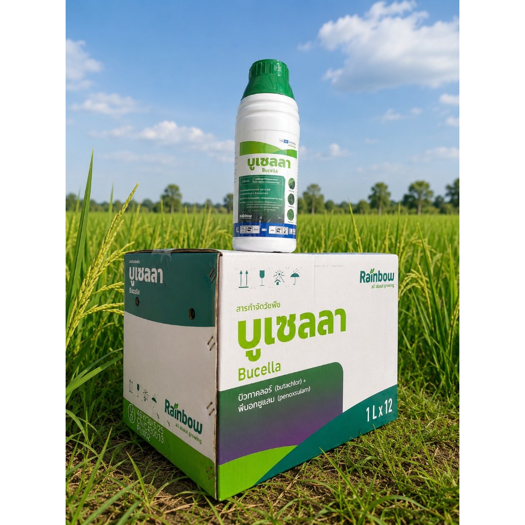 บูเซลลา สินค้ายกลัง12ขวด ขนาด1ลิตร (บิวทาคลอร์+พีนอกซูแลม 40%+1% W/V SE) สารกำจัดวัชพืช บ. เรนโบว์