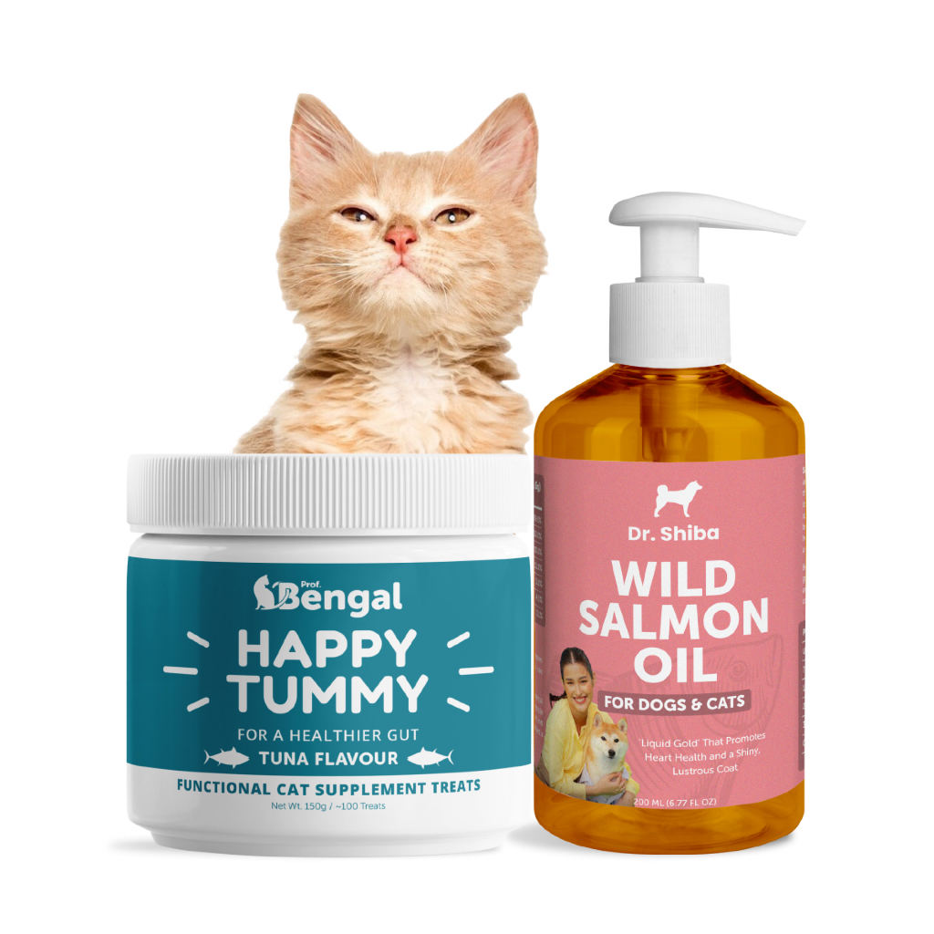 สูตรแพ็คคู่ 2 ชิ้น  Prof. Bengal (เลือกสูตรและรสได้) + นำ้มันปลาแซลมอน Salmon Oil สำหรับแมว
