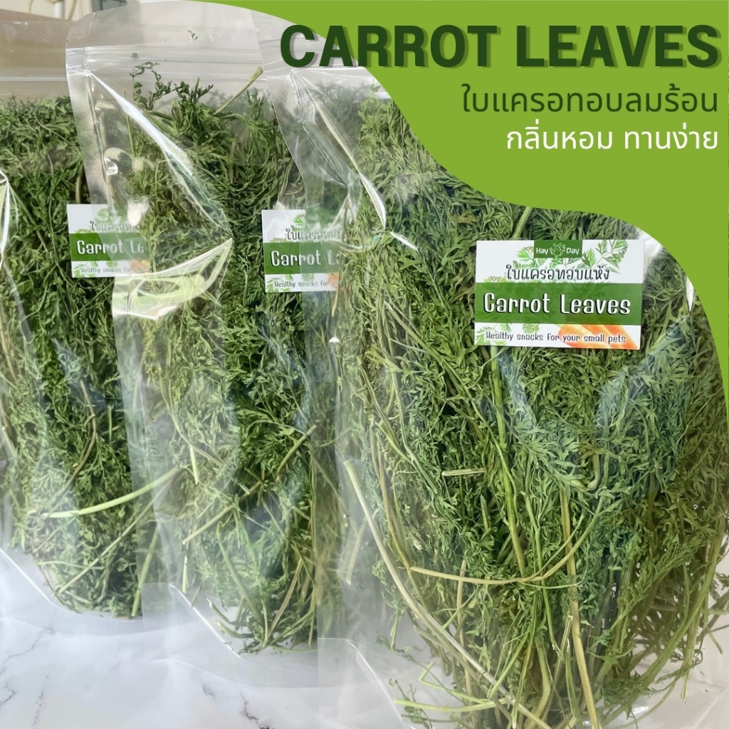 ✿ใบแครอท✿ Carrot Leaves อบลมร้อน คัดพิเศษ เกรดพรีเมี่ยม สำหรับกระต่ายและสัตว์ฟันแทะทุกชนิด