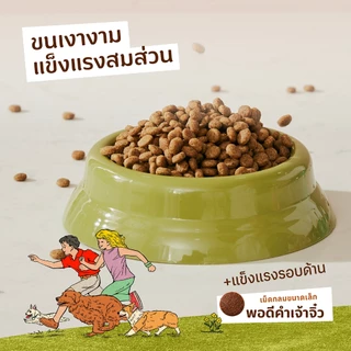 Tiffany Adult อาหารสุนัขโตพันธุ์เล็ก 15 กิโลกรัม (ม่วง)
