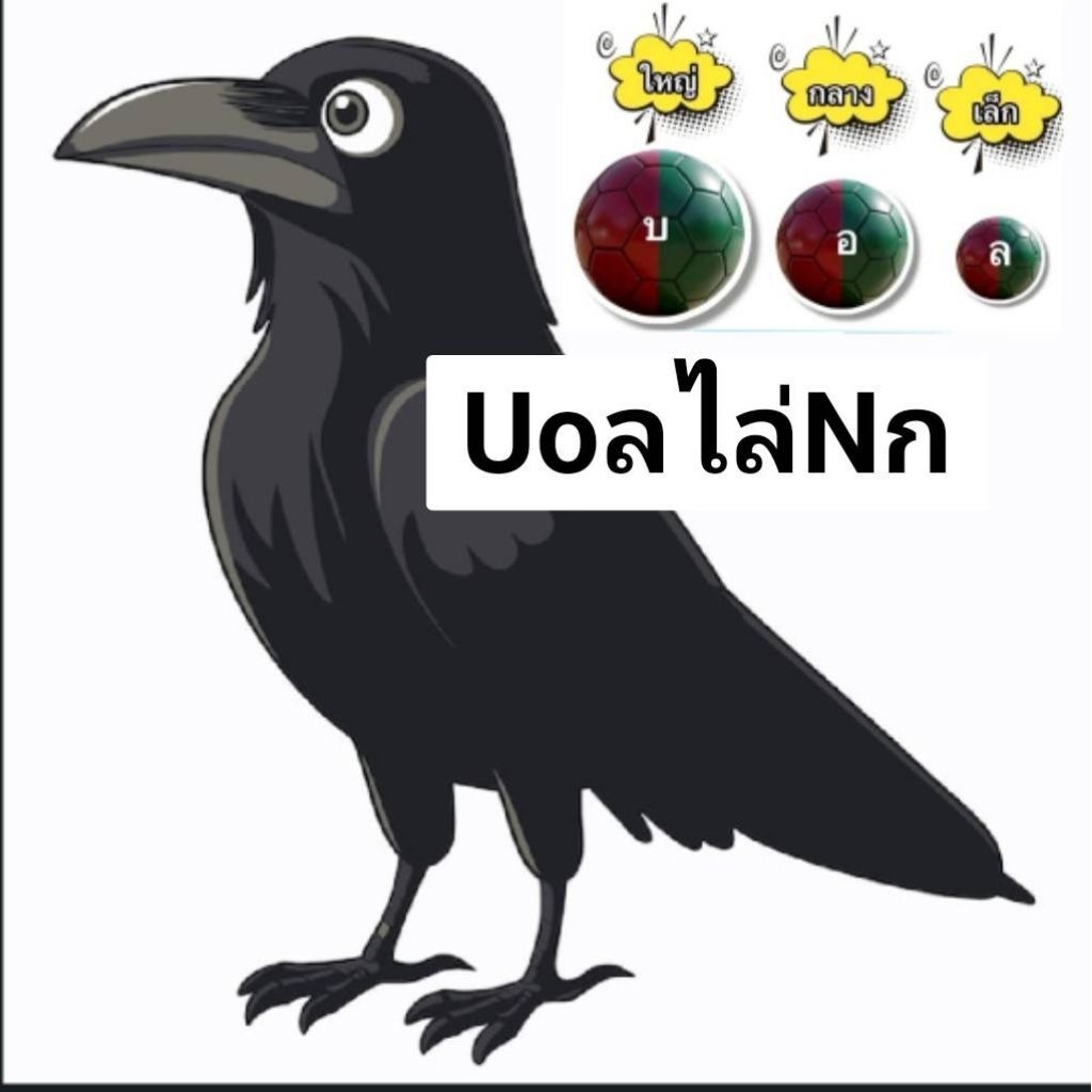 นกเยี่ยวแบบจำลอง โมเดล ของเล่น กิจกรรม