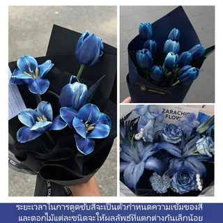 🔥พร้อมส่ง🔥 สารดูดซับสีดอกไม้ DIY 300 ml. เหมาะสำหรับดอกไม้ทุกชนิด