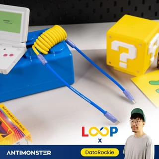 สายชาร์จ LOOP Collab /02 DataRockie 240W Type-C Fast Charging