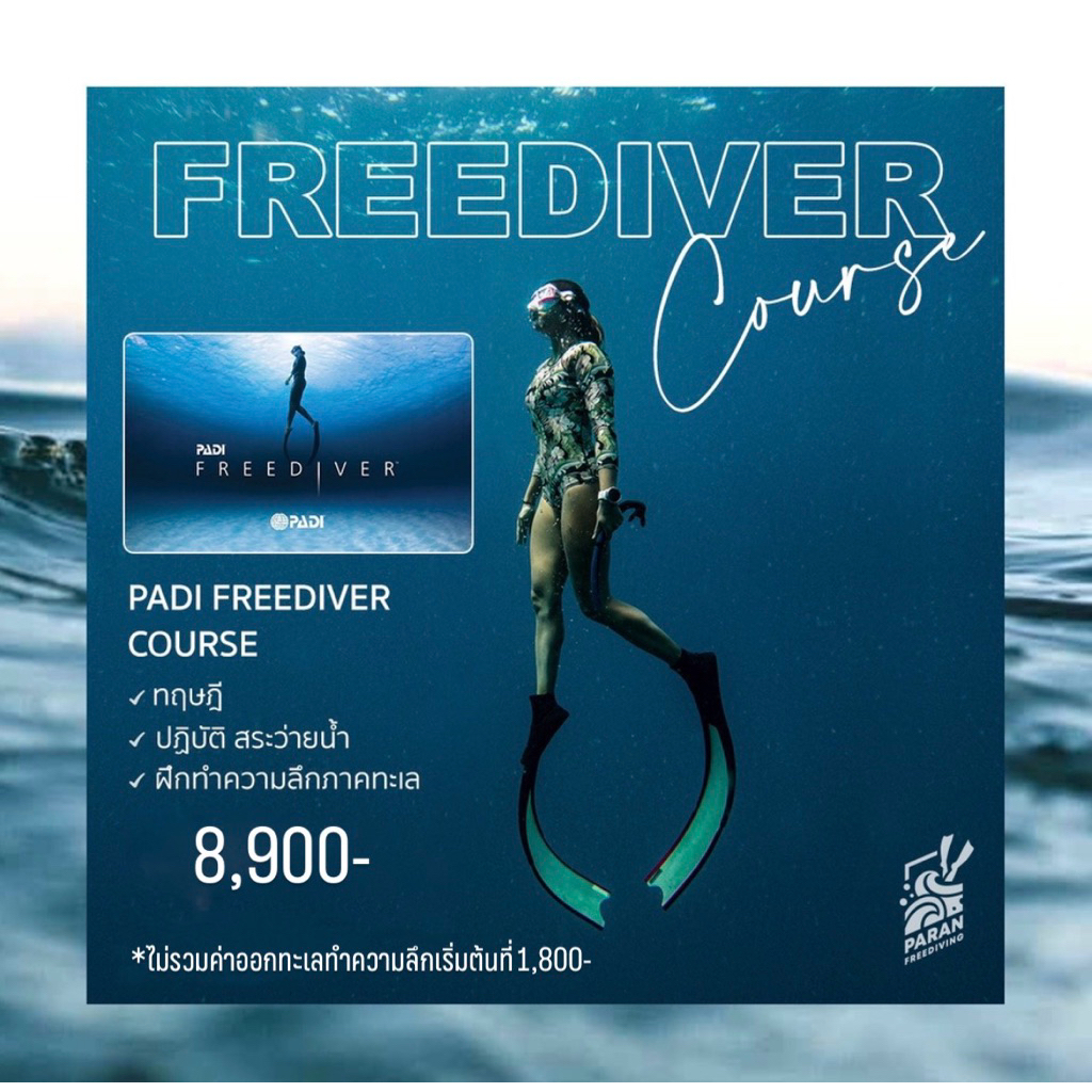 คอร์สเรียน "ฟรีไดฟ์" PADI FREEDIVER (LV.1) by Paran Freediving