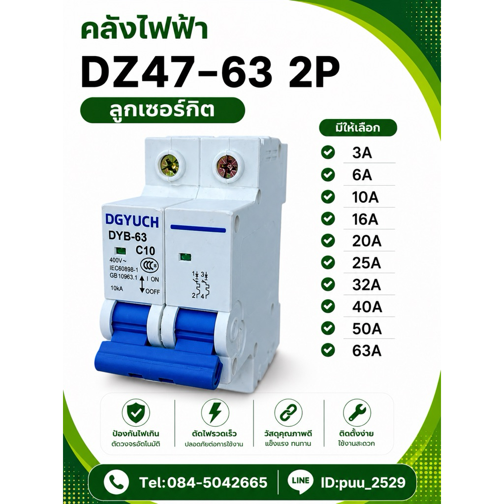 DZ47-63 ลูกเซอร์กิต 2P