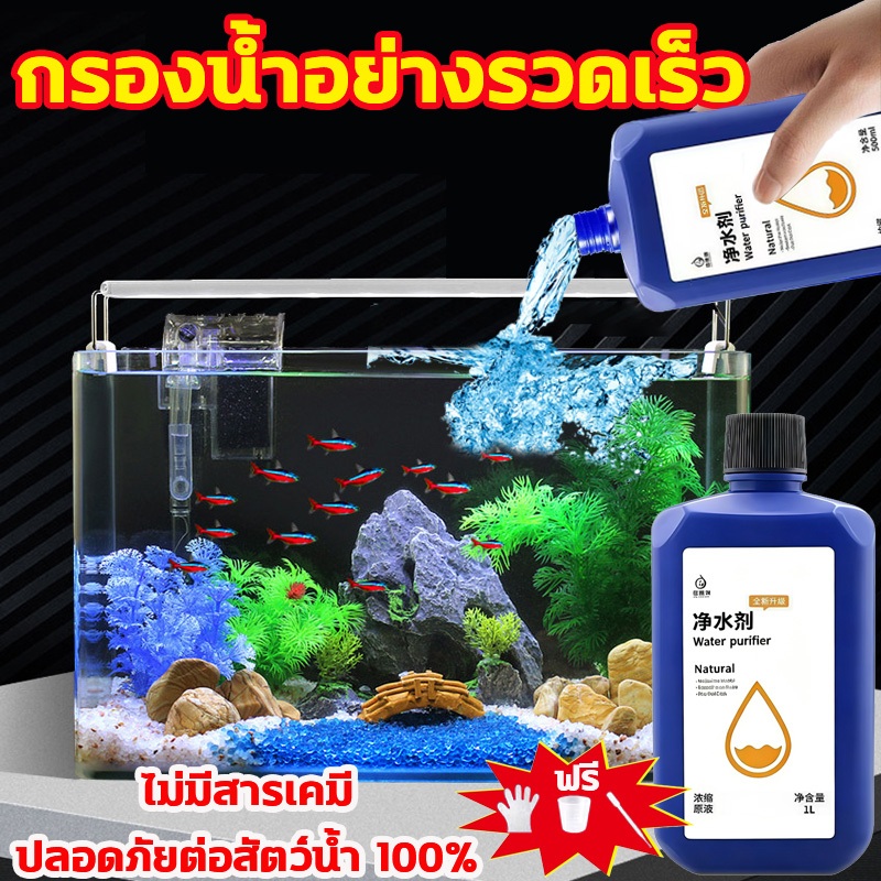 10 ปีไม่ต้องเปลี่ยนน้ำ จุลินทรีย์น้ำใสบ่อปลา จุลินทรีย์ปรับสภาพน้ำใส น้ำยาปรับสภาพน้ำบ่อปลา 1000ml ปรับปรุงคุณภาพน้ำ