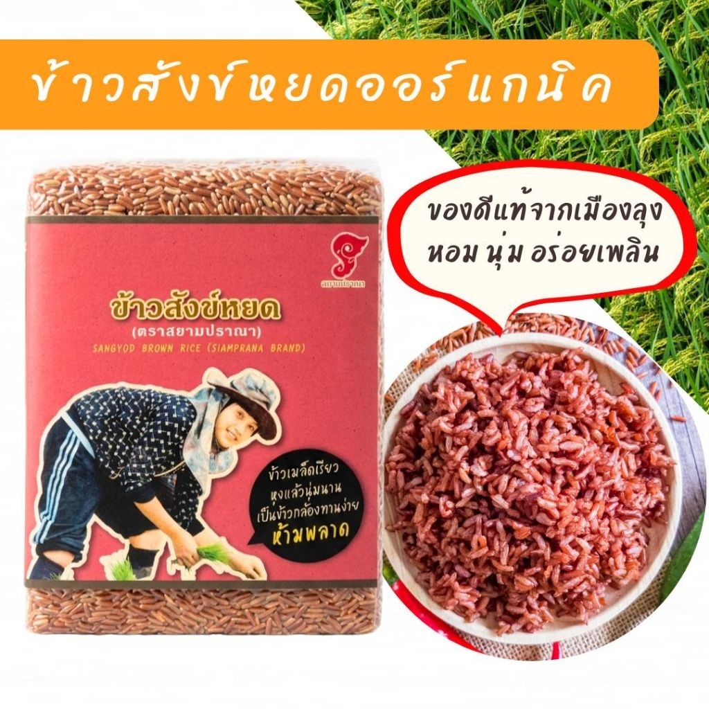 ข้าวสังข์หยด ข้าวกล้องสังข์หยดขนาด 2-5 kg ปลูกแบบออแกนิคไม่ใช้สารเคมี หอมนุ่มน่าทาน มีธาตุเหล็กสูง ตราสยามปราณา